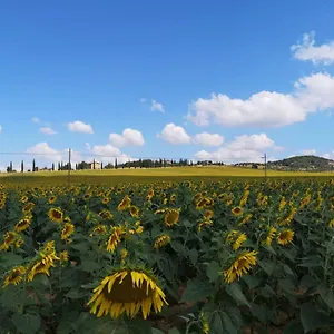  Appartamento incantevole appartamento in borgo di campagna